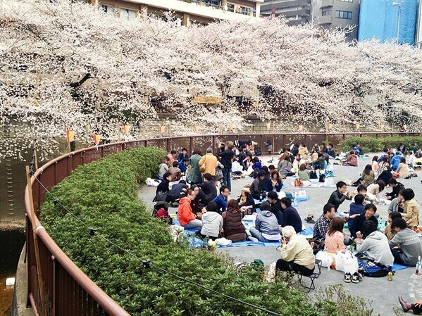 花より団子―桜の季節に楽しみたい、東京だんご10選