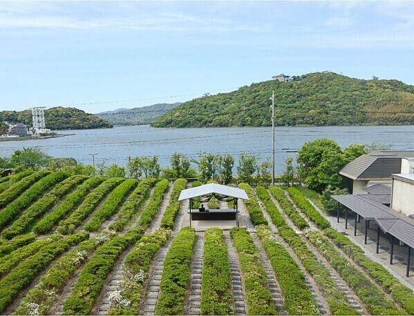 煎茶という日本茶のかたち — 静岡で体験する、茶葉から一杯までのストーリー —
