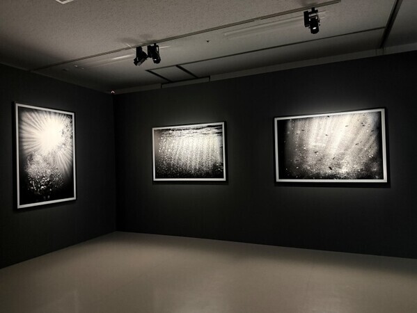 世界が見つめ直した日本女性写真家たち──「まなざしの奇跡」が渋谷で問いかける写真の現在地