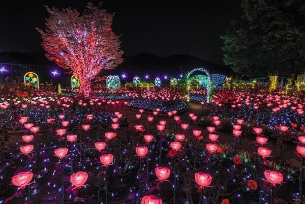 栃木・あしかがフラワーパークのイルミネーション「光の花の庭」