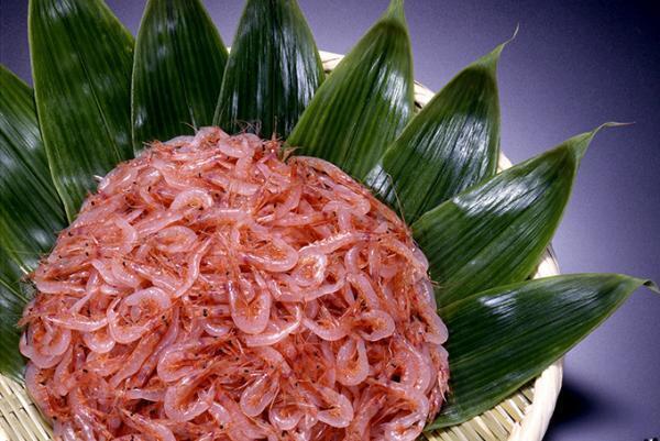 「由比桜えびまつり」日本最大の桜えびの祭典 - 生の桜えび&しらすを静岡市で