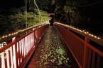 北海道・定山渓温泉、大自然×イルミネーションのライトアップイベント開催