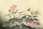 江戸の浮世絵に学んだ立原位貫、matohu表参道本店で展覧会 - 木版画で日本の美に触れる