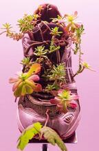 銀座メゾンエルメスでミシェル・ブラジーの展覧会「リビングルーム II」家電製品に植物が生えた作品など