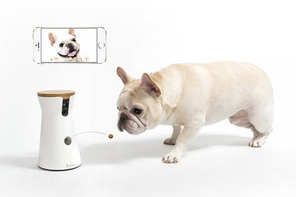 おやつが飛び出すドッグカメラ「ファーボ(Furbo)」スマホに高画質動画をライブ配信