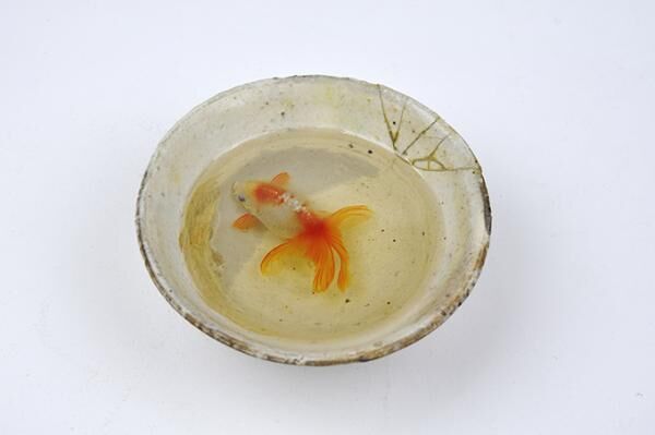 金魚絵師、深堀隆介「キンギョ イン ザ スカイ」展が横浜スカイビルで -  升を泳ぐ本物のような金魚