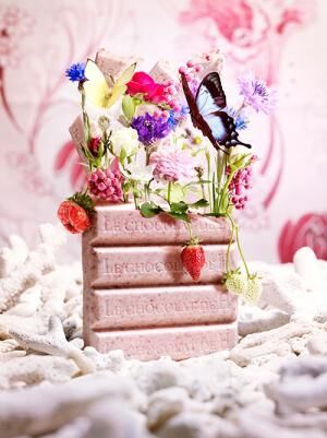 写真家・石川寛×パティシエ・辻口博啓によるチョコレートの写真展が銀座で -味覚と視覚で味わう甘い世界