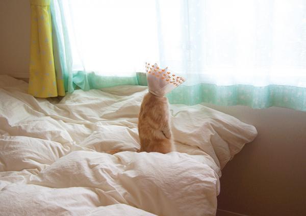 「ねこ休み美術館」東京・大阪・札幌で開催 - スター猫が名画とコラボ、「ねこ休み展」参加作家が勢揃い