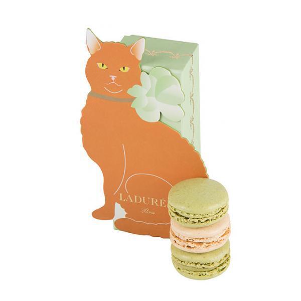 ラデュレの限定マカロンボックスに“赤毛の子猫” が登場