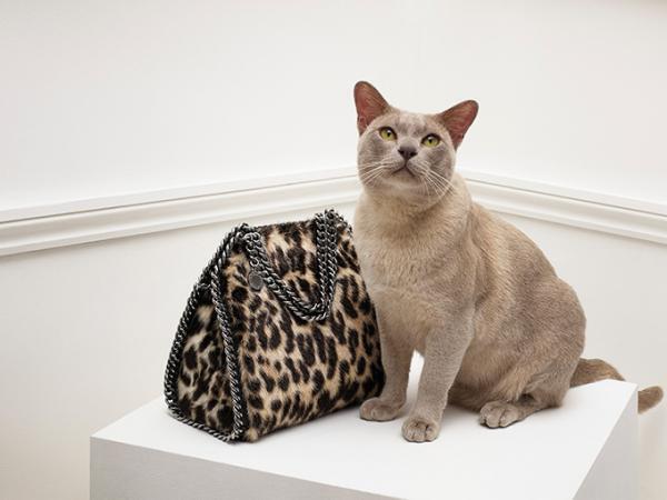 ステラ マッカートニー‟猫”にフォーカスした限定ストアが大阪・阪急うめだに、16年秋の新作