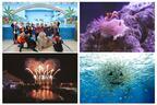 秋の横浜・八景島シーパラダイス - ハロウィン演出の海の動物ショーや花火など 