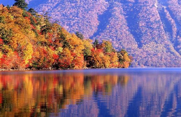 日光の紅葉ピーク - 赤と黄色のグラデーション、夜にはライトアップも