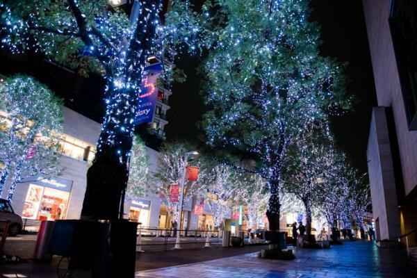 六本木ヒルズのイルミネーション - けやき坂はスノー＆ブルーとキャンドル＆アンバー