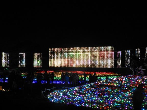 東武動物公園「ウインターイルミネーション」雄大な自然と光・音楽がコラボレート