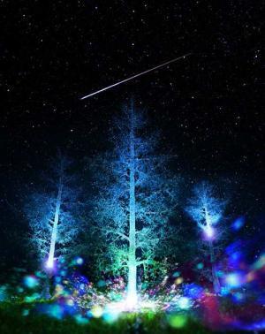 世界初、流れ星と連動する体験型イルミネーションが日本橋で開催 - ふたご座流星群との連動企画も