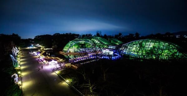 京都府立植物園の10万球LEDイルミネーション - 映画「ぼくは明日、昨日のきみとデートする」の舞台
