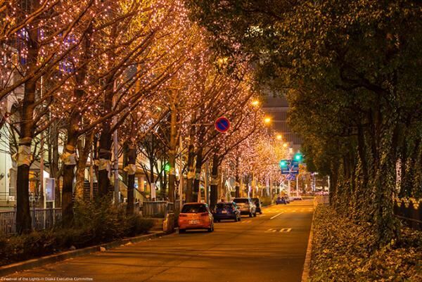「御堂筋イルミネーション2016」が大阪・光の饗宴2016で - 全長4kmが光で埋め尽くされる