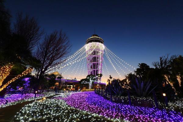 「湘南の宝石」イルミネーションでチューリップ畑やシーキャンドルが美しく灯される