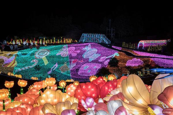 伊豆ぐらんぱる公園「グランイルミ」世界でも稀に見る“密度”のイルミネーション