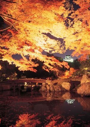国宝・彦根城「玄宮園」秋の紅葉ライトアップ - 滋賀県の紅葉スポットを紹介