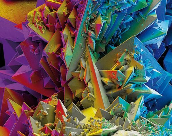 「不思議で美しいミクロの世界展」新宿で開催 - ニュウマン内のルミネゼロと国立科学博物館がコラボ