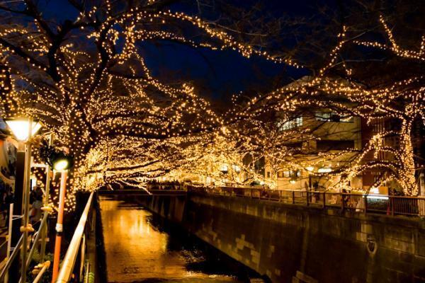 中目黒 目黒川沿いに新イルミネーション「黄金のドーム」出現 - 川全体が宝石のように輝く