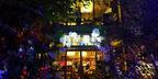 代官山T-SITE・蔦屋書店、植物とバルーンアートによるライトアップ＆クリスマスマーケット開催