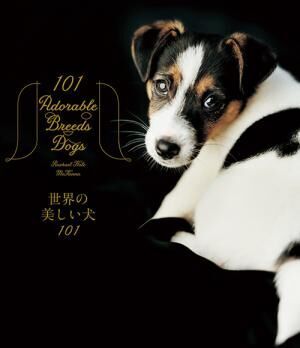 写真集『世界の美しい犬101』101匹を集めたビジュアル犬図鑑、性格や特徴も紹介