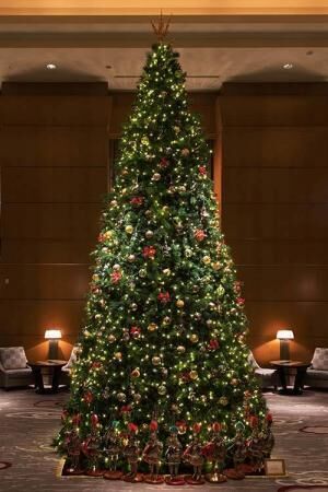 ドルチェ&amp;ガッバーナ、ザ・リッツ・カールトン東京のクリスマスツリーをデザイン