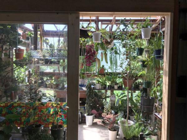 ネペンテスの限定ストア「グリーンピープル」が大阪に - こだわりの植物や園芸グッズ、限定Tシャツも