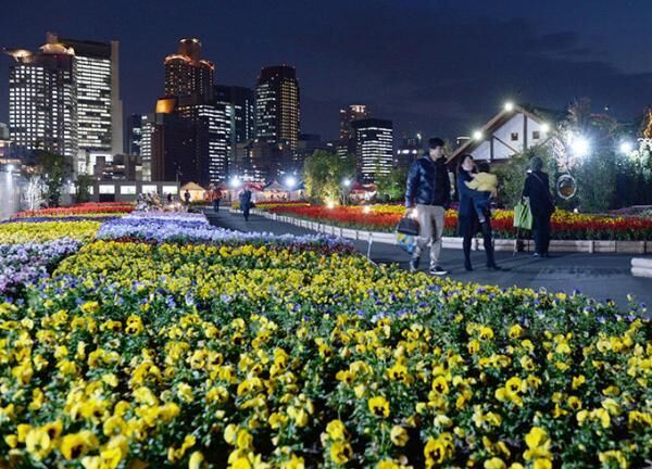 花と緑のテーマパーク「うめきたガーデン」、2万本が咲き誇る&quot;チューリップ祭”開催