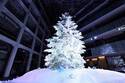 丸の内KITTEのクリスマス「ホワイト キッテ」屋内日本最大級のツリーを背景にオケのコンサート