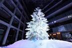 丸の内KITTEのクリスマス「ホワイト キッテ」屋内日本最大級のツリーを背景にオケのコンサート
