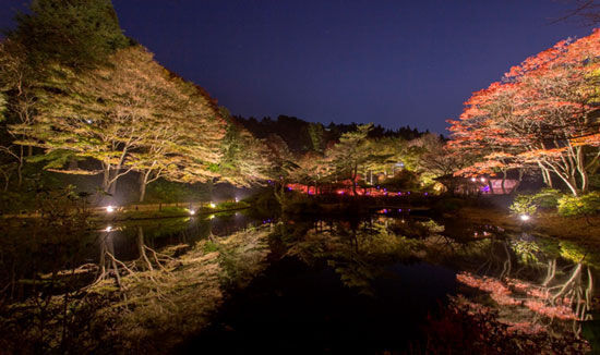 神戸・六甲高山植物園の紅葉ライトアップ「夜の紅葉散策」