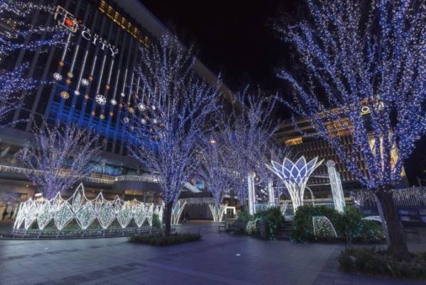福岡の冬イルミネーション「光の街・博多」本場ドイツの雰囲気が楽しめるクリスマスマーケットも