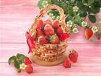 苺が詰まったカゴ型タルトパイ「いちご摘み」大阪リーガロイヤルホテルから限定発売