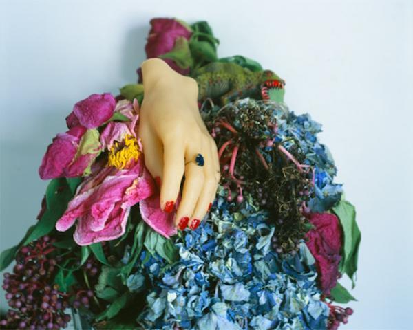 「京都国際写真祭 2017」京都各所で開催 - 荒木経惟、ロバート・メイプルソープらの作品集結