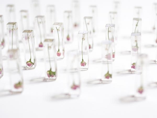 noocaの限定ストアが名古屋パルコに - 花や木々のアクセサリー