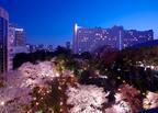 「高輪 桜まつり 2017」東京・品川で開催 - 夜桜ライトアップ、人力車や琴などの日本文化体験も
