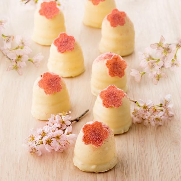 デンマーク発・サマーバード オーガニックの春限定チョコ、桜の花びらをトッピング