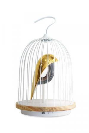 MoMAデザインストアが京都にオープン - 国内2店舗目