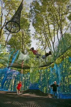 森の空中あそび「パカブ」神奈川にオープン、空中の網の上でバドミントンやサッカーを楽しむ
