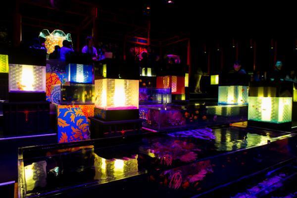 日本橋で「アートアクアリウム」金魚が泳ぐ水中アート展覧会、「龍宮城」をテーマにした玉手箱の新作