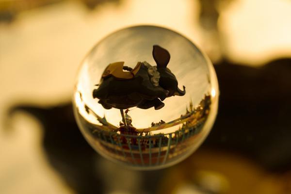 ディズニーの写真展「イマジニング・ザ・マジック」パーク内で起きた”魔法の瞬間”を捉えた写真