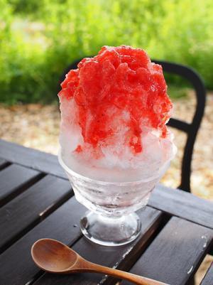 タイフードと全国の名店かき氷が楽しめる「タイフード＆かき氷フェス」大井競馬場で開催