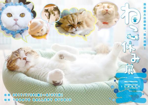 過去最大級の「ねこ休み展」東京、新潟にて開催 - 新作ねこグッズや初参戦のスター猫