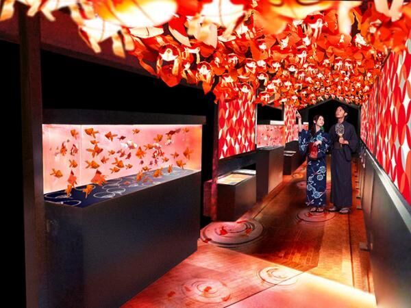 すみだ水族館で金魚夏まつり｢東京金魚ワンダーランド｣日本最大全長100mの金魚展示で約1,000匹が泳ぐ