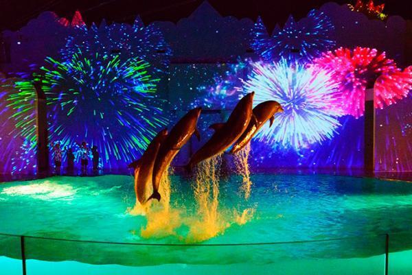 須磨海浜水族園で水中世界をVR体験「未来水族感」接近するシロワニ、頭上を通過するホシエイなど