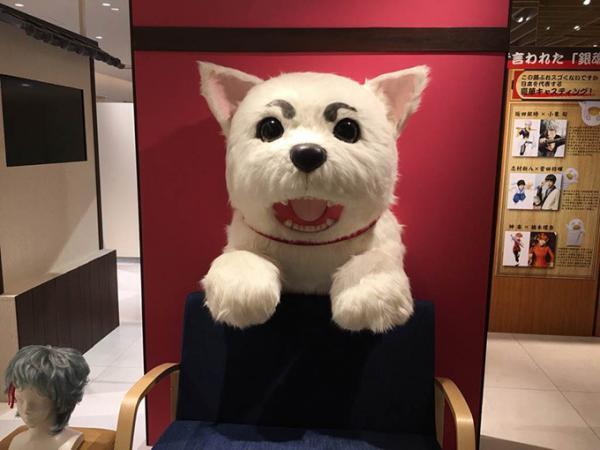 『銀魂』実写映画”万事屋セット”を本格再現、公開記念イベント「万事屋 銀ちゃん」新宿で開催