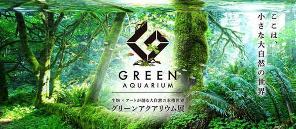 生物×アートで創る自然の水槽世界「グリーンアクアリウム展」がグランツリー武蔵小杉で開催